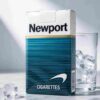 Newport Short One box contains 10 packs A36